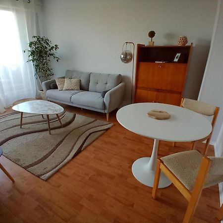 Appartement Avec Parking Et Balcon Vue Cathedrale Шартр Екстер'єр фото